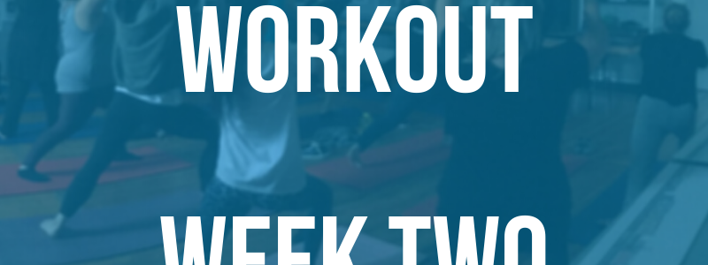 Website Workout Week Two
